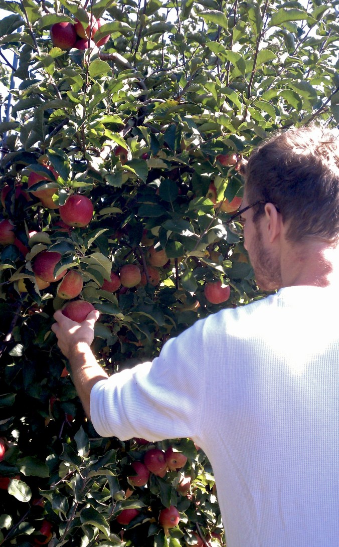 StephenPickingApple