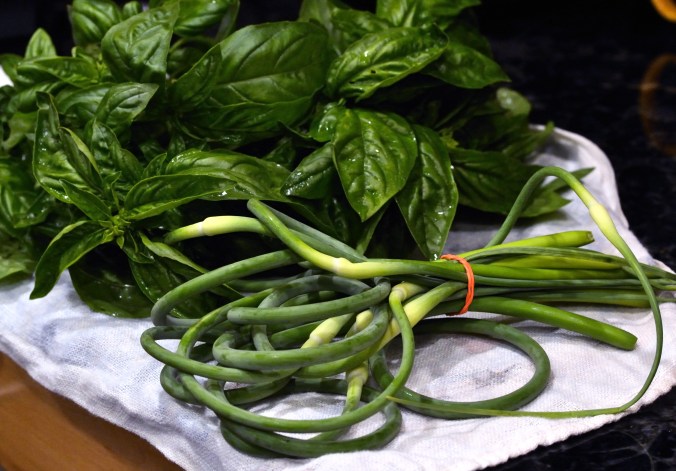 Garlic Scape Basil Pesto | Pumpkin Honey